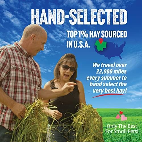 Small Pet Select 2nd Cutting Perfect Blend Timothy Hay Pet Food for Rabbits, Guinea Pigs, Chinchillas and Other Small Animals, Premium Natural Hay Grown in The US, 10 LB