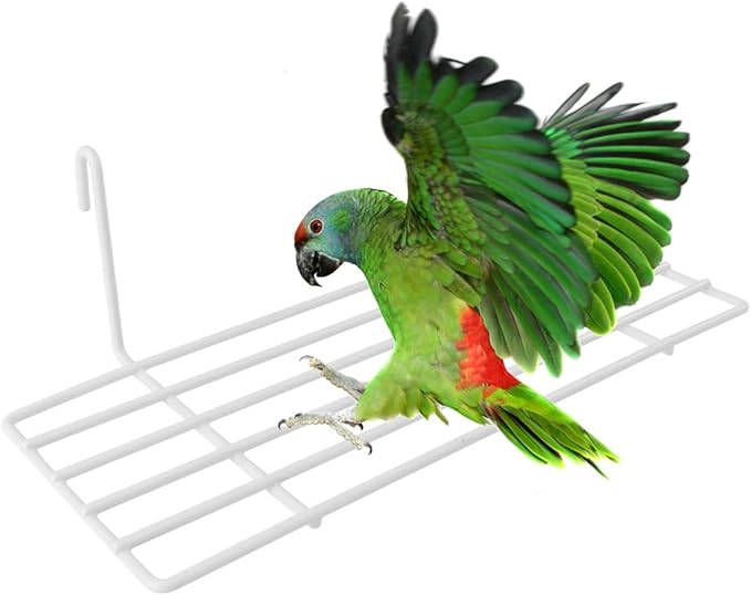 balacoo 3 pcs Frame Hanging Shelf Bird Cage Accessories Wall Decoration Parrot Perching Cockatiel Toys