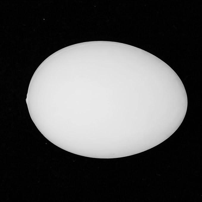 50pcs Pigeons Egg Plastic Simulation Hatching Breeding Supplies for Birds Fake Pigeons Egg Solid