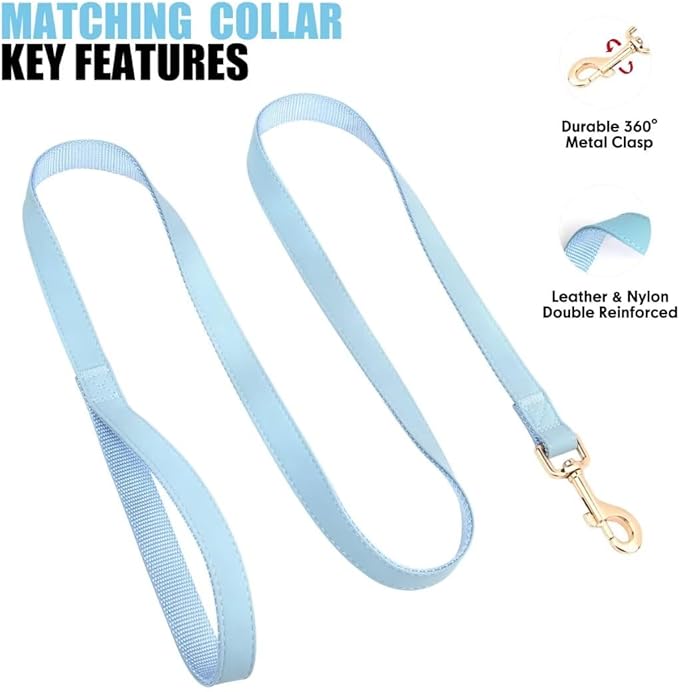 PET ARTIST Soft PU Leather Dog Collar and Leash Set, Bright & Stylish 5FT PU Leather Leash and Collar Set, Durable Pet Collars with Quick Release Metal Buckle for Small Dogs,Blue,S(9"-14")