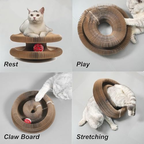 Kitty Curls Cat Toy,Cardboard Cat Scratcher,Magic Organ Cat Toy,Foldable Recyclable Cat Accordion Toy for Indoor Cat Playing,Interactive Scratch Pad with Toy Ball(1pc) - Image 6