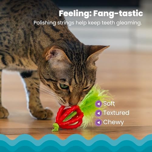 Catstages Dental Strawberry Teether Cat Chew Toy with Catnip, 4" - Image 3