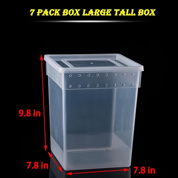 7 Pack Large Size Reptile Feeding Box Gecko Plastic Transparent Breeding Box for Snake Tree Frog Bearded Dragon Lizard Spider Praying Mantis (7.8" x 7.8" x 9.8")