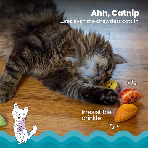 Catstages Dental Fruit Wedges Chew Cat Toys with Catnip, 5.3", 4-Pack - Image 3