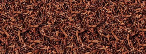 Exo Terra Jungle Earth, Tropical Terrarium Substrate, 8 Quarts, PT2762