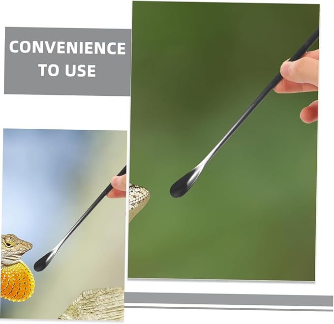 BESPORTBLE 3Pcs Reptile Feeding Spoon Set Long Handle PET Food Scoop for Lizard and Small Animals Reusable Feeding Tool for Wet Food for Reptile Supplies