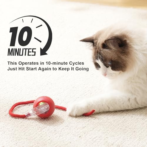 Goosheep 2025 New 3Pack Cat Ball Kitten Toys for Indoor Interactive Kitty Ball Toy Speedy Tail 360?? Automatic Rolling(Red Grey Green) - Image 4