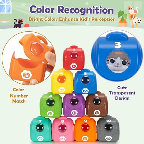 Learning Toys for Toddlers 1 2 3 Year Old Toddlers, 20Pcs Kitten Finger Puppets for Kids, Montessori Counting, Matching & Sorting Toy, Christmas Birthday Gifts for Baby Boys Girls Age 12-18 Months - Image 4