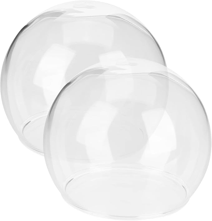 SOLUSTRE 2pcs Flower Protector Ornament Glass Dome Micro Landscape Terrarium Supplies