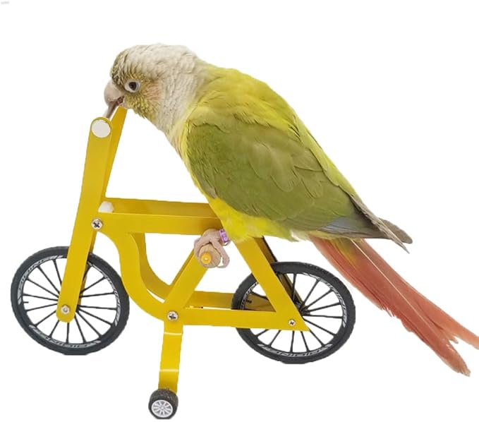QBLEEV Bird Intelligence Training Toy - Parrot Puzzle Bicycle for Small & Medium Birds - Educational Table Top Trick Prop & Foot Talon Toy for African Grey, Cockatoo & Conures