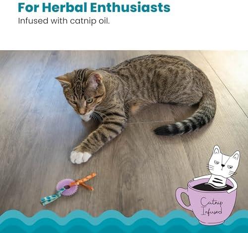 Catstages Kitty Chew Wheel, Dental Cat Toy with Catnip Oil, Teeth Cleaning, Healthy Chewing, Boredom Relief, Kicking & Batting for Kittens and Adult Cats, Purple (Pack of 2) - Image 4