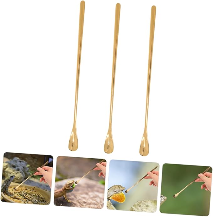 Reusable Reptile Spoon Pet Food Scoop Lizard Food Feeding Tool Stainless Steel Reptile Feeding Spoons Set