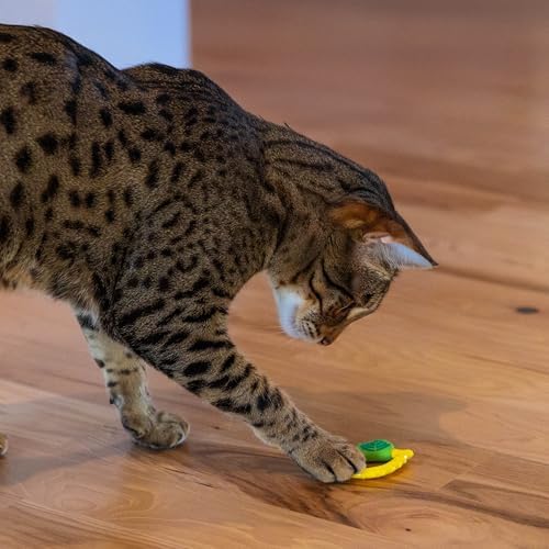 Catstages Dental Lemon Teether Interactive Chew Cat Toy with Catnip, 2.4" - Image 6