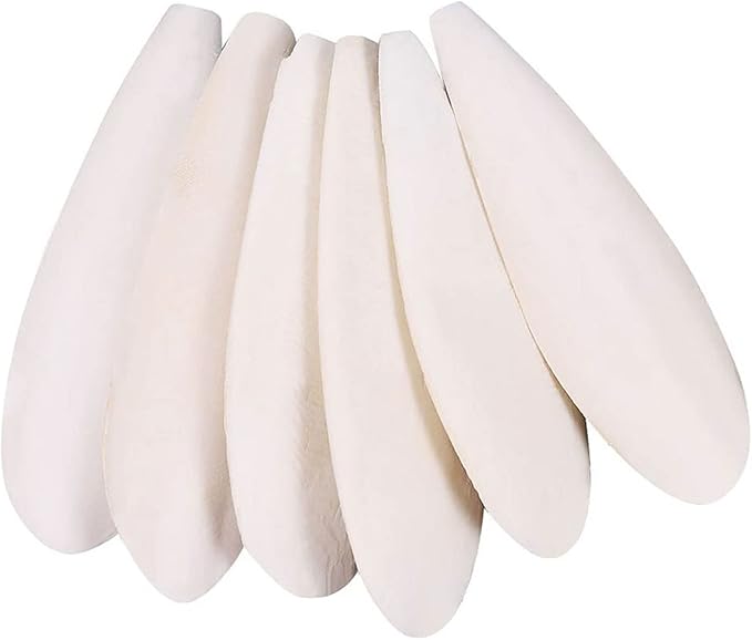 Natural Cuttlebone for Birds Parakeets Canaries Cockatiels Small Conures Mynahs Toucans African Greys All Parrots Snails Totoise (7-7.5 inch,6PCS)