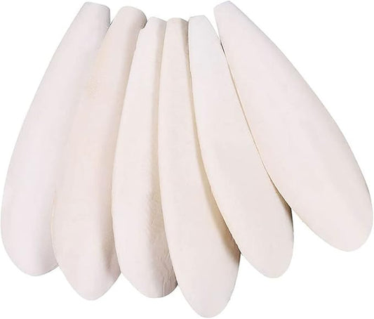 Natural Cuttlebone for Birds Parakeets Canaries Cockatiels Small Conures Mynahs Toucans African Greys All Parrots Snails Totoise (7-7.5 inch,6PCS)