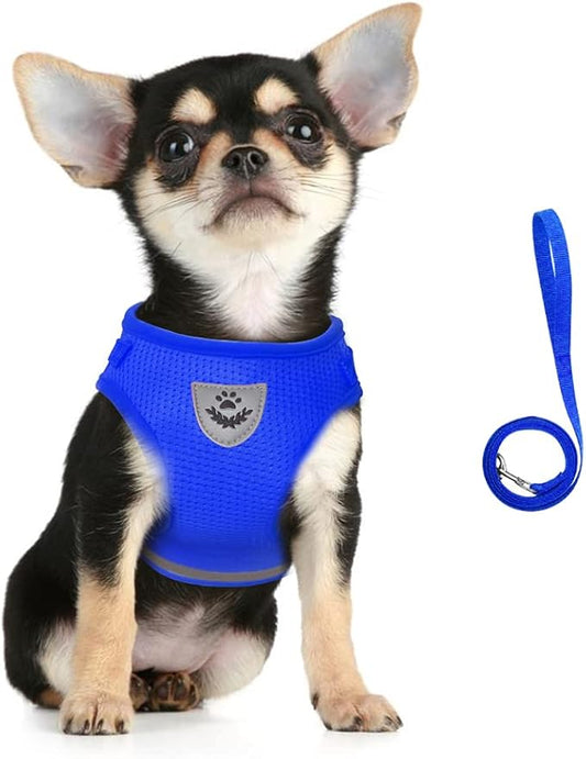 FEimaX Dog Harness and Leash Set for Walking, Soft Mesh Adjustable Easy Control Lightweight Cat Vest Harnesses with Reflective Strips, Escape Proof Small Dogs Cats Vests (Blue, Medium)