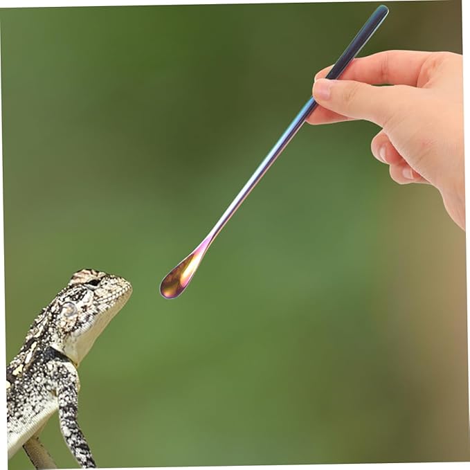 POPETPOP 3pcs Leopard Gecko Food Scoop Reptile Spoons for Wet Food Feeding Tool