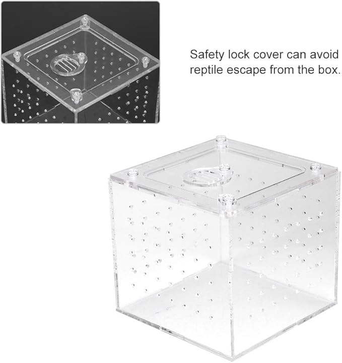 Reptile Breeding Tools, Reptile Hatching Supplies, Lizard Breeding Acrylic Box Case Insects House 1Pc Reptile Terrarium Feeder Snakes Spider