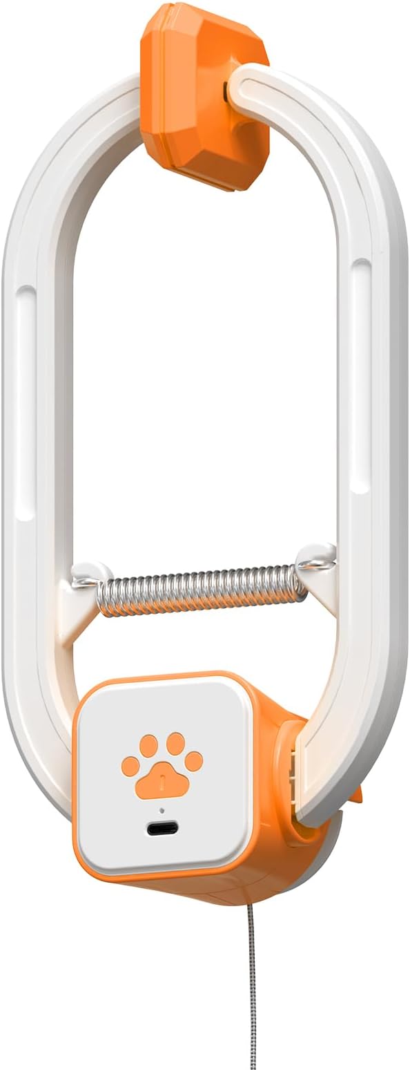 Interactive cat toy, Electric cat teaser, Door clip, 2 Motion modes,Orange by HAPPYCODE