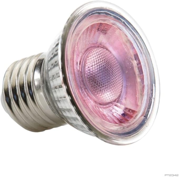 Exo Terra Daylight LED Spot Nano, Reptile Terrarium Light Bulb