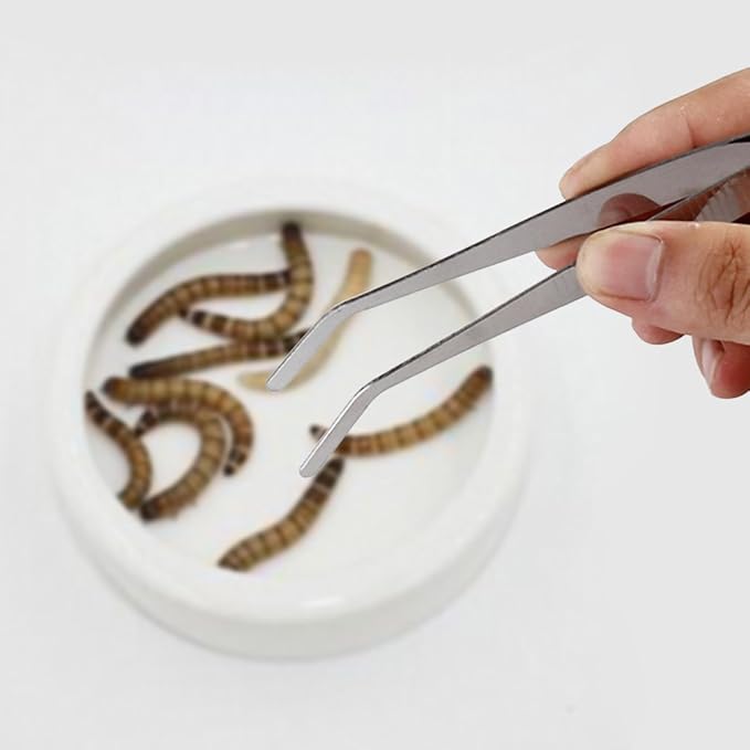 OMEM (Pack of 5) Mealworms Tweezers Worm Food Nipper for Reptiles Amphibians and Birds