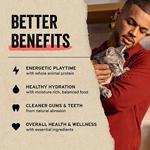 Vital Essentials Freeze Dried Minnows Cat Treats | Single Ingredient | Premium Quality | Grain Free, Healthy Treats for Cats, 1 oz Bag (Pack of 3) - Image 5