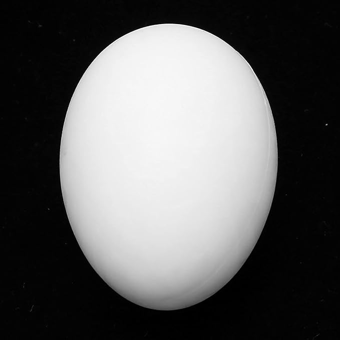 50pcs Pigeons Egg Plastic Simulation Hatching Breeding Supplies for Birds Fake Pigeons Egg Solid