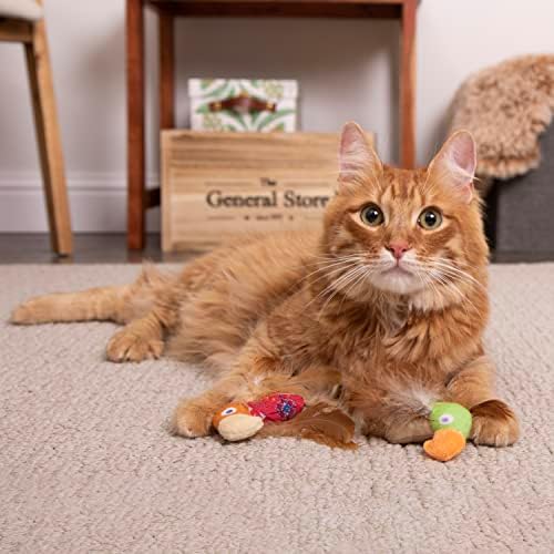 Instincts by SmartyKat 2-Pack HappyNip Love Mates Feather Birds Plush Cat Toys, Contains Catnip & Silvervine - Orange/Green, 2-Pack - Image 3
