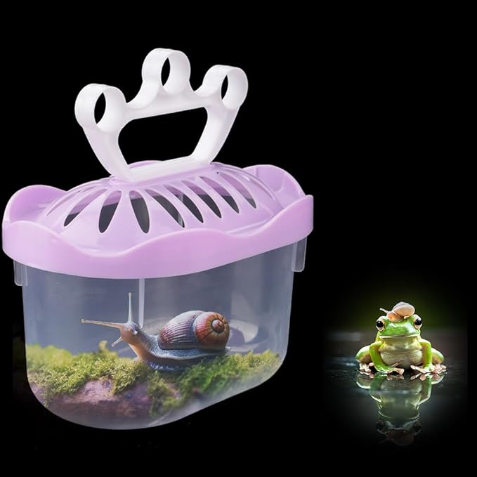 8 Pack Small Plastic Reptile Carrier Turtle Enclosure Fog Breeding Box Hatching Container Terrarium for Small Reptile Turtle Fog Hermit Crab Lizard Fish