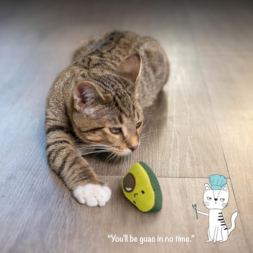 Catstages Lil' Avocato Cat Toy, Interactive Plush Avocado with Catnip, Kicker & Chew Toy for Indoor Cats, Encourages Active Play, Mental Stimulation, Dental Health, and Solo Fun, Green (Pack of 2) - Image 6