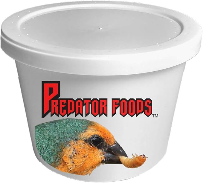 Predator Foods Bulk Live Giant Worms 1.25-1.75 in - (250 Count)