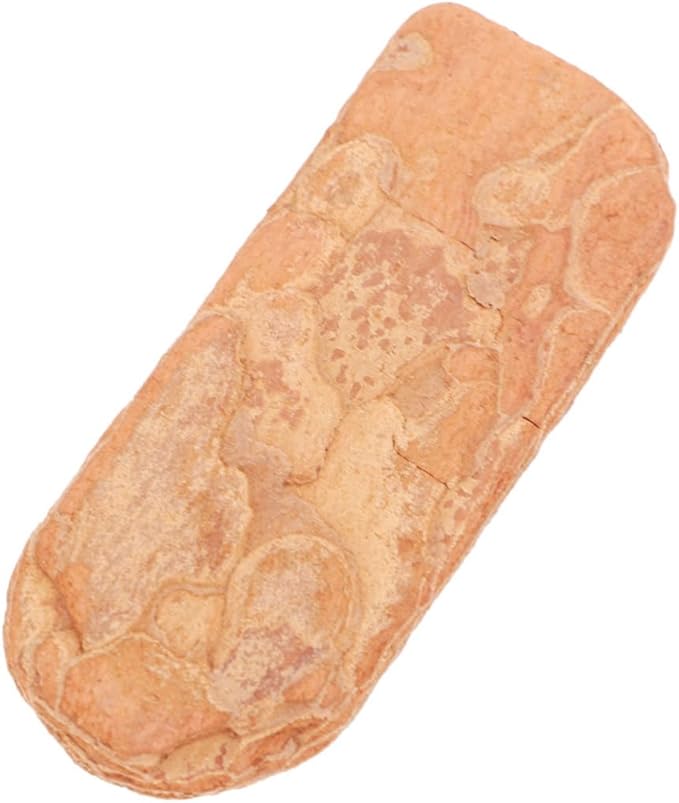 Yardwe 1pack Natural Pine Bark Cushion for Reptile Terrarium Decor for Snakes Lizards and Chameleons and Substrate for Crawlers