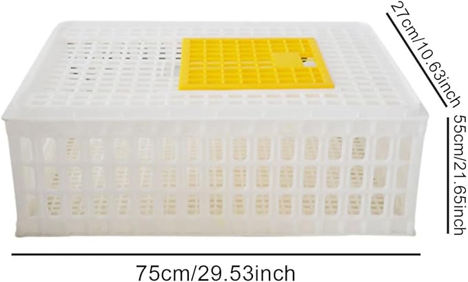 Poultry Crate for Transporting Birds, and Hamsters, White