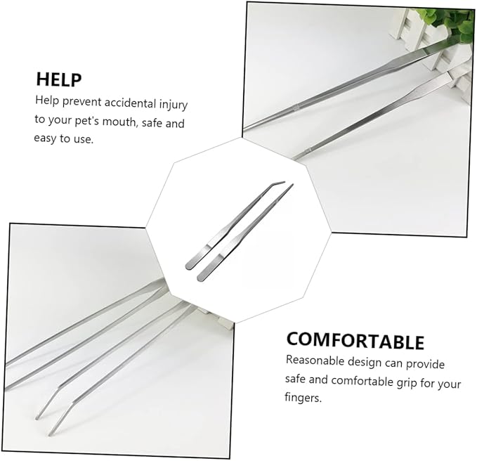 BESPORTBLE 2pcs Pet Feeding Tweezers Straight Curved Tips for Reptile Care for Safe Feeding of Lizards Snakes and More Terrarium Environments