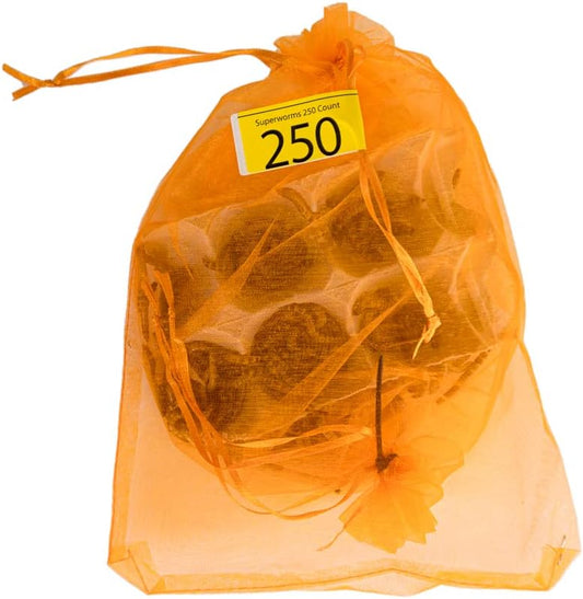 Josh's Frogs Superworms (250 Count)