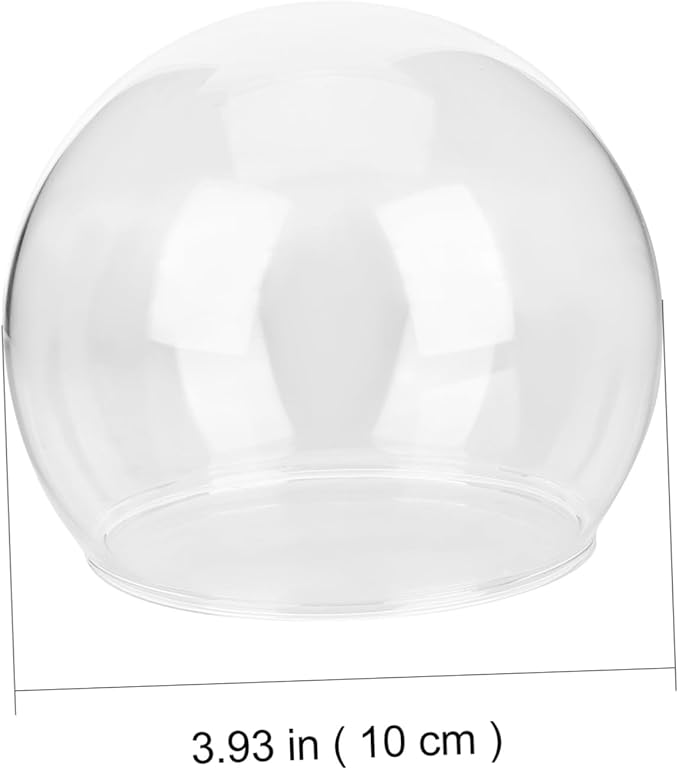 SOLUSTRE 2pcs Flower Protector Ornament Glass Dome Micro Landscape Terrarium Supplies