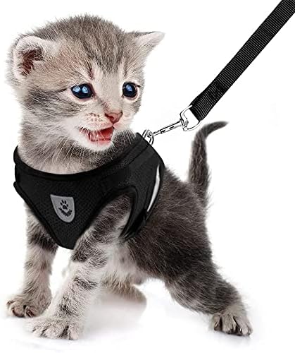 FEimaX Dog Harness and Leash Set for Walking, Soft Mesh Adjustable Easy Control Lightweight Cat Vest Harnesses with Reflective Strips, Escape Proof Small Dogs Cats Vests