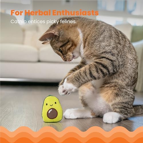 Catstages Lil' Avocato Cat Toy, Interactive Plush Avocado with Catnip, Kicker & Chew Toy for Indoor Cats, Encourages Active Play, Mental Stimulation, Dental Health, and Solo Fun, Green (Pack of 2) - Image 3