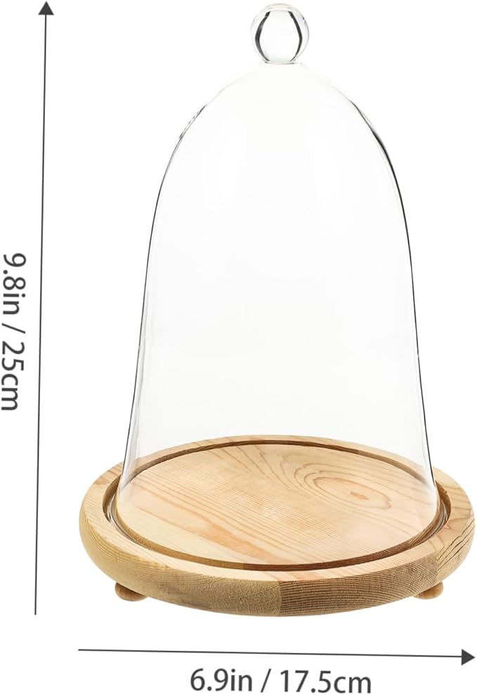 Garneck 1set Elegant Preserved Flower Glass Dome Base Creative Landscape Display for Home and Car Interior for
