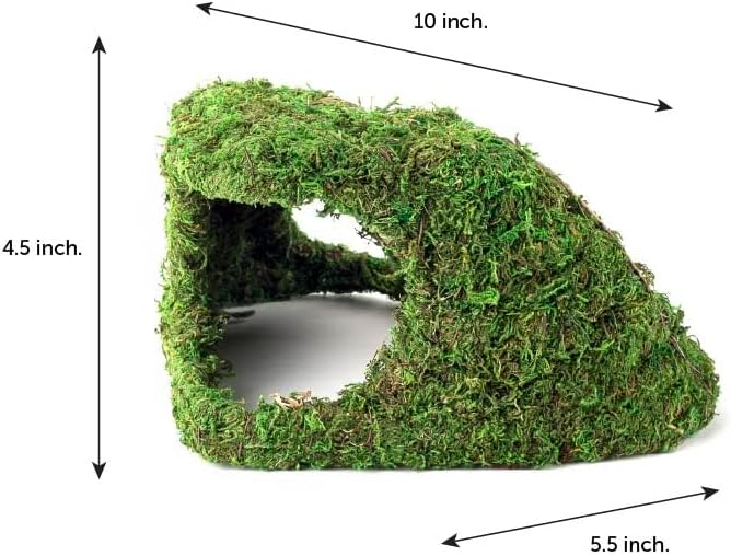 Galápagos (05370) Mossy Sapa Corner Hide - The Perfect Reptile Hide for Security and Comfort - A Natural and Secure Hide for Reptiles, Amphibians, and Invertebrates, L10” x W5.5” x H4.5”
