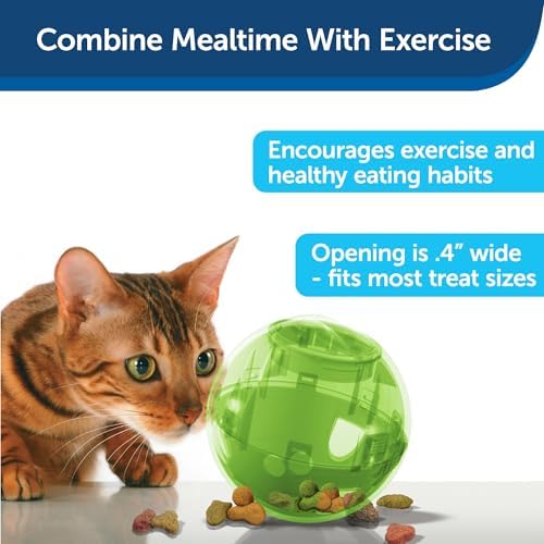 PetSafe Slimcat Feeder Ball Cat Toy, Green - Image 4
