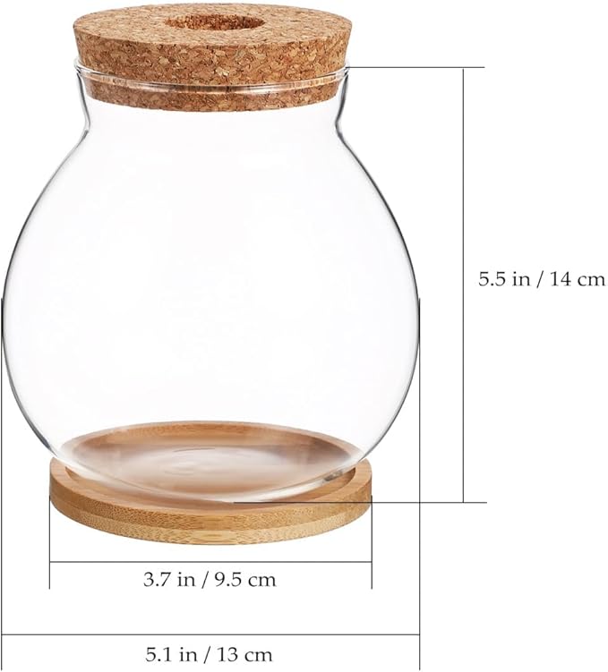 POPETPOP Desktop Glass Fish Bowl - Round Small Fish Tank with Wood Stopper & Bamboo Mat, Clear Glass Betta Fish Bowl for Succulent Plants, Hydroponic Air Plant (5.1X5.5 in)