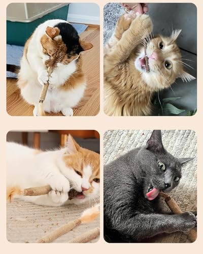 Tocirelo Natural Silvervine Chew Sticks for Cats with Catnip and Feathers - Image 6