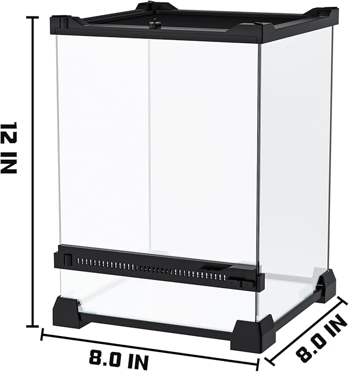 Reptile Terrarium 8"x8"x12" Mini, Front-Opening Glass Tank with Mesh Lid & Lock, 360° Glass Enclosure for Small Reptiles, Frogs, Tarantulas, Jumping Spiders & Geckos
