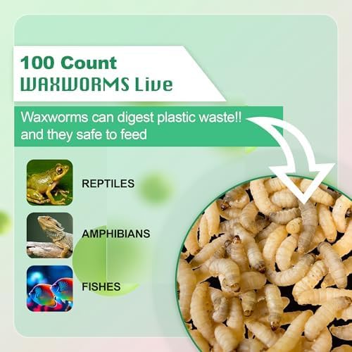 250 Count Live Waxworms