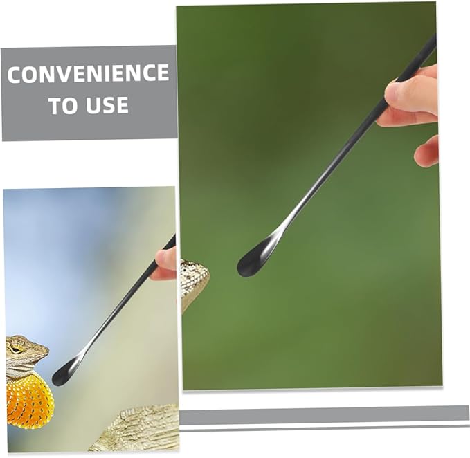 POPETPOP 3pcs Reptile Accessories Small Animal Feeding Spoon Pet Food Holder Spoon for Gecko Lizards