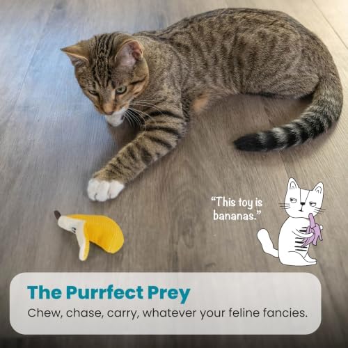 Catstages Dental Banana Cat Toy with Catnip, Dental Mesh & Crinkle Sound, Interactive Kicker for Indoor Cats & Kittens, 5.3" - Image 5