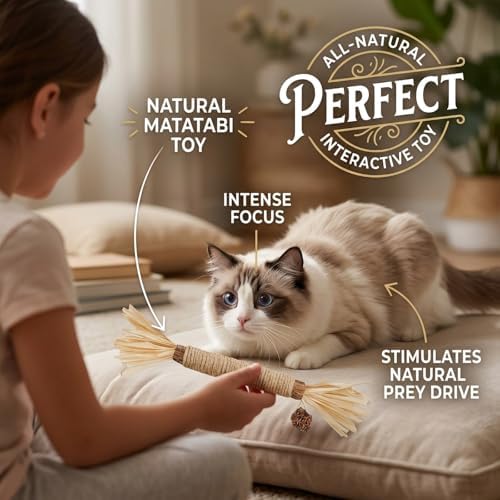 3 Pack Silvervine Cat Chew Sticks - Natural Kitten Toy for Cats - Image 5