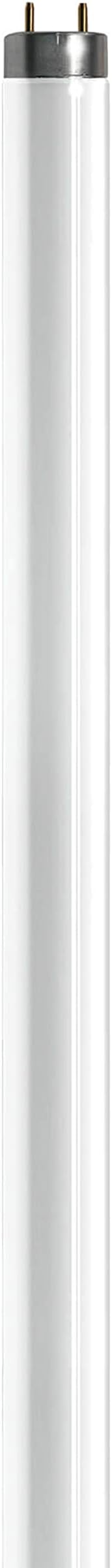 Zilla T8 Fluorescent Bulbs Desert Series 50, 17 Watts