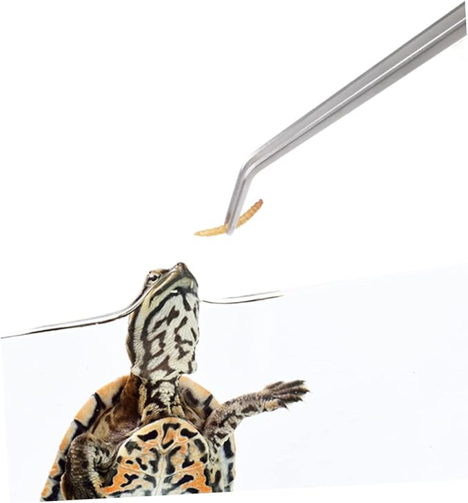 BESPORTBLE Stainless Pet Tweezer 2pcs Reptile Feeding Clip for Gecko Tank Accessories